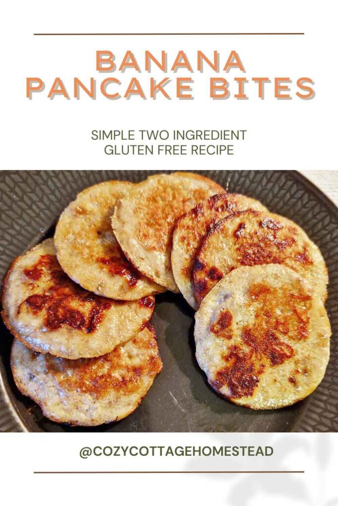 Banana pancake bites - Simple two ingredient gluten free recipe