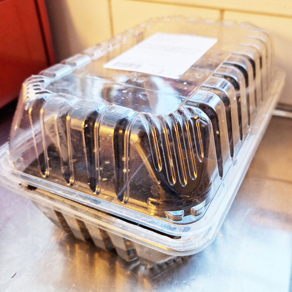 Starting Seeds Indoors - Covering up the seeds to keep in the moisture